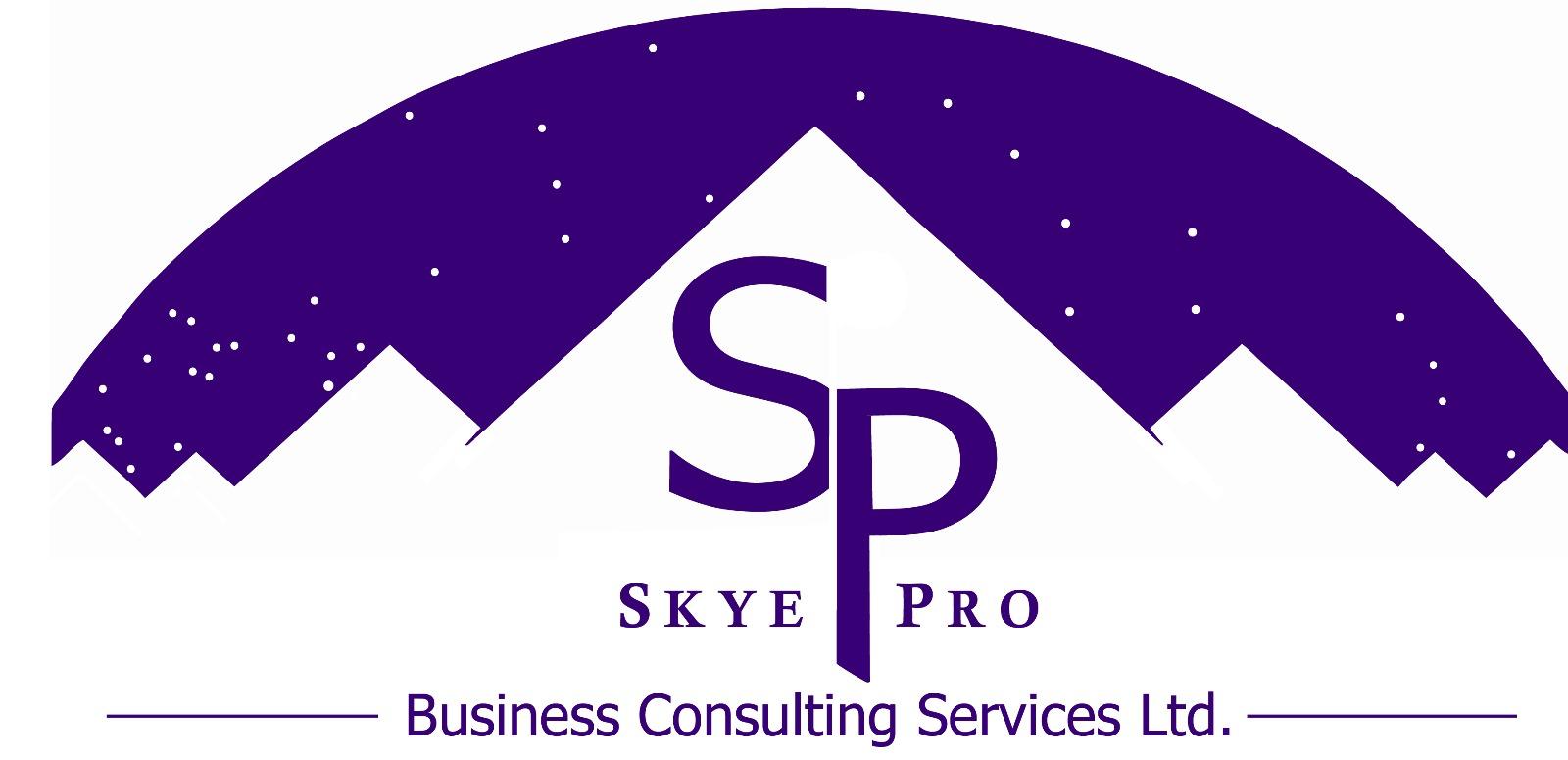 Skye Pro Business Consulting